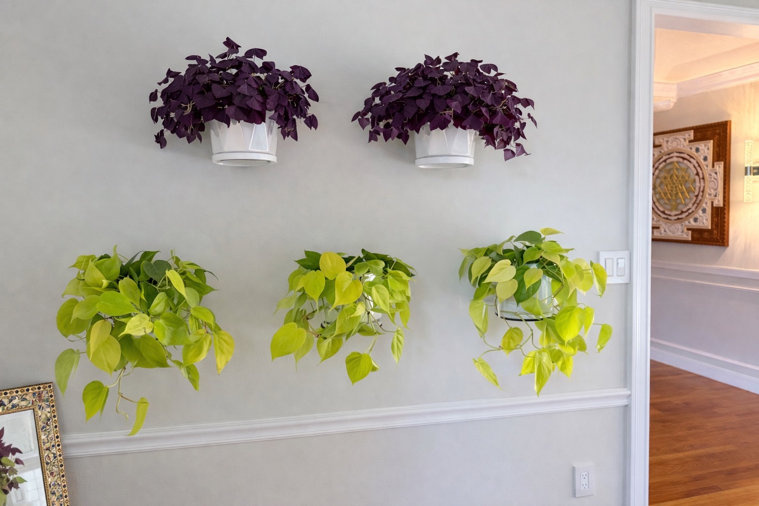 Urban Oasis client home